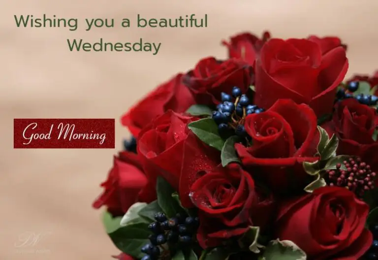 Have a wonderful Wednesday – Good Morning
