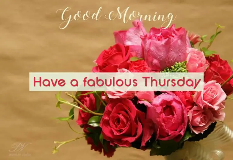 Have a fabulous Thursday