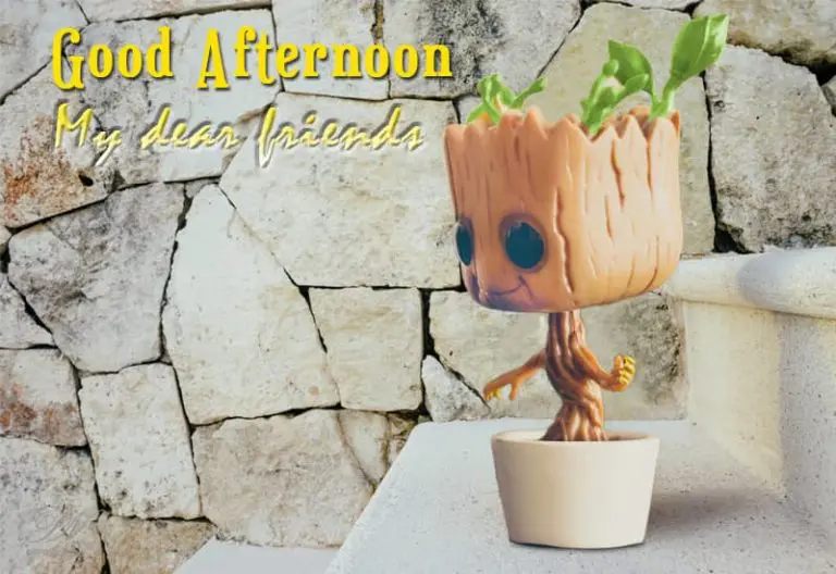 Good Afternoon Wishes