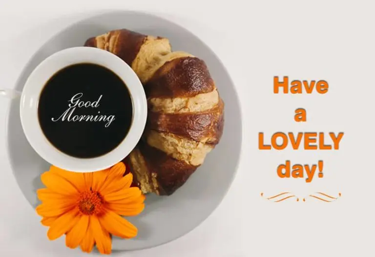Good Morning – Have a lovely day Good Morning – Have a lovely day