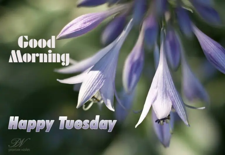 Bask in the power of truth – Happy Tuesday Bask in the power of truth – Happy Tuesday