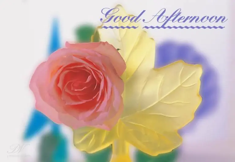 Good Afternoon Wishes
