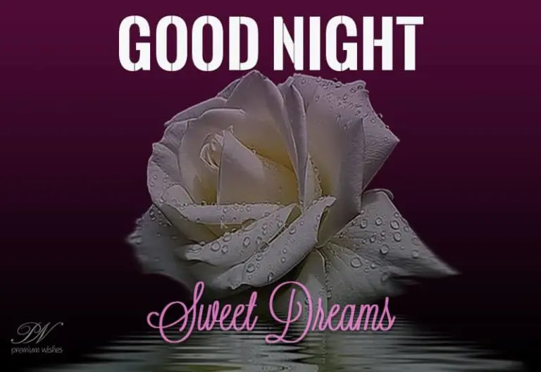 Good Night Wishes