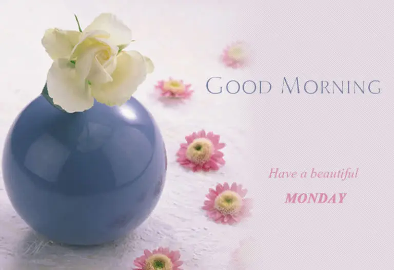 Have a beautiful Monday