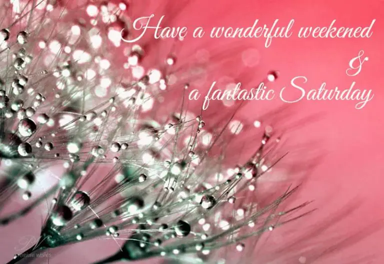 Wonderful weekend and a fantastic Saturday Wonderful weekend and a fantastic Saturday