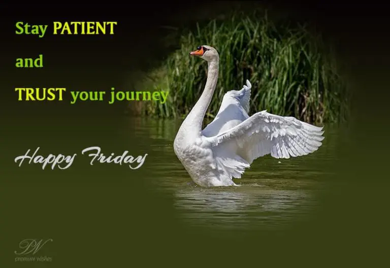 Friday Wish – Stay Patient and Trust Your Journey