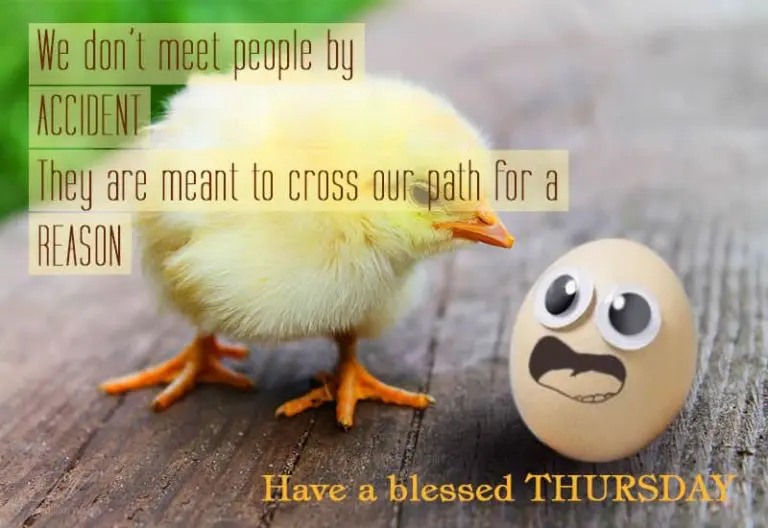Thursday Wish – People meet for a reason