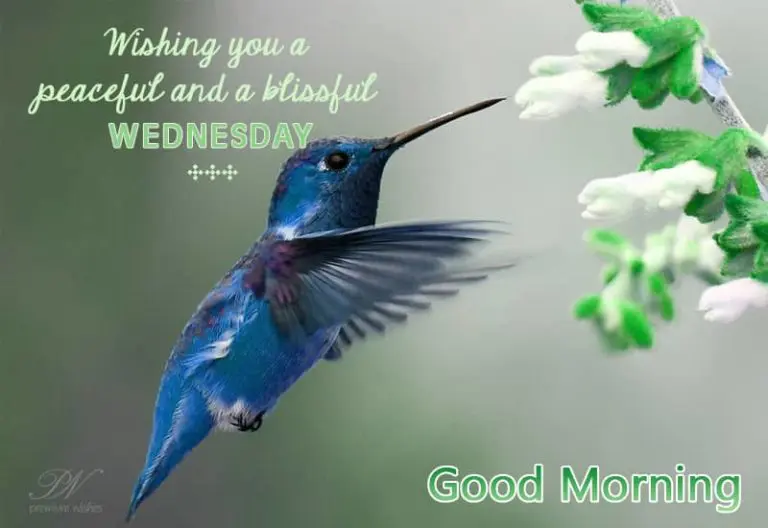 May your dreams come true this Wednesday