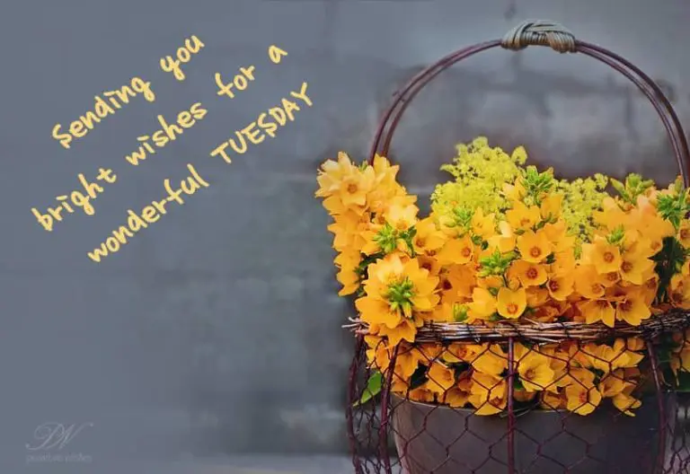 Do what is right – Happy Tuesday