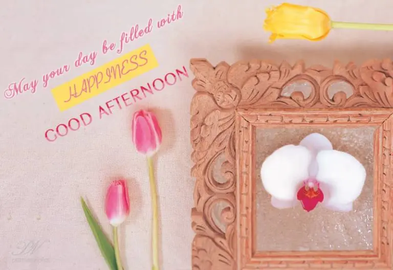 Good Afternoon Wishes