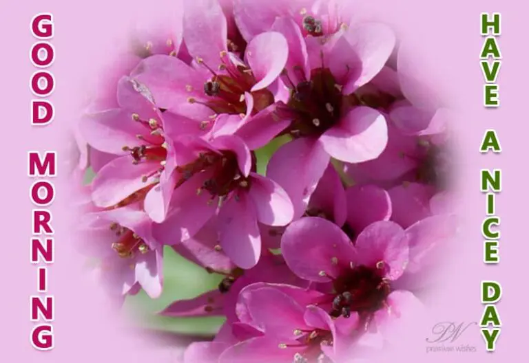 Good Morning – Have a nice day