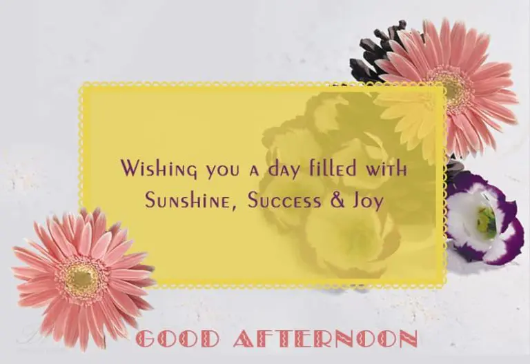 Good Afternoon Wishes