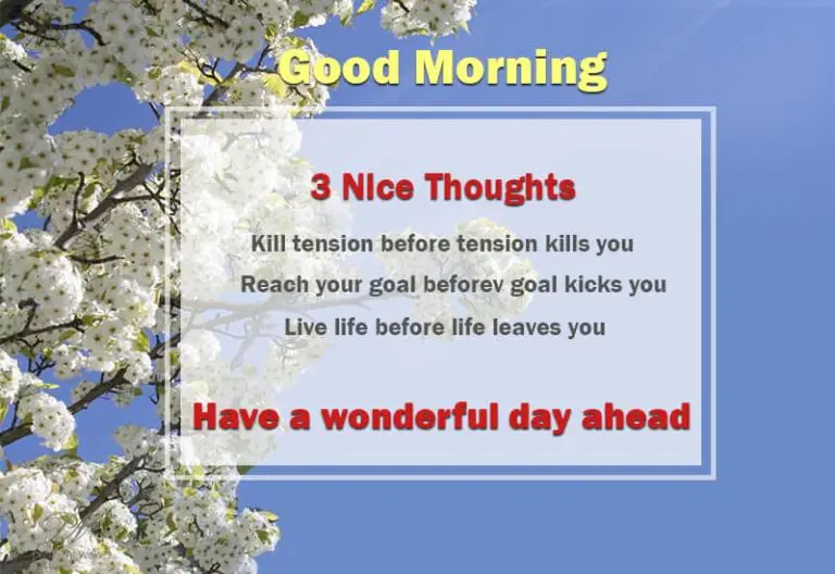 Good Morning – Live before life leaves you Good Morning – Live before life leaves you