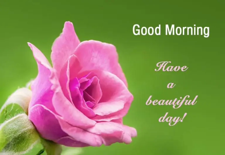 Good Morning – Have a beautiful day Good Morning – Have a beautiful day
