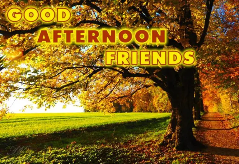 Good Afternoon Wishes