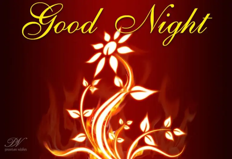 Good Night Wishes