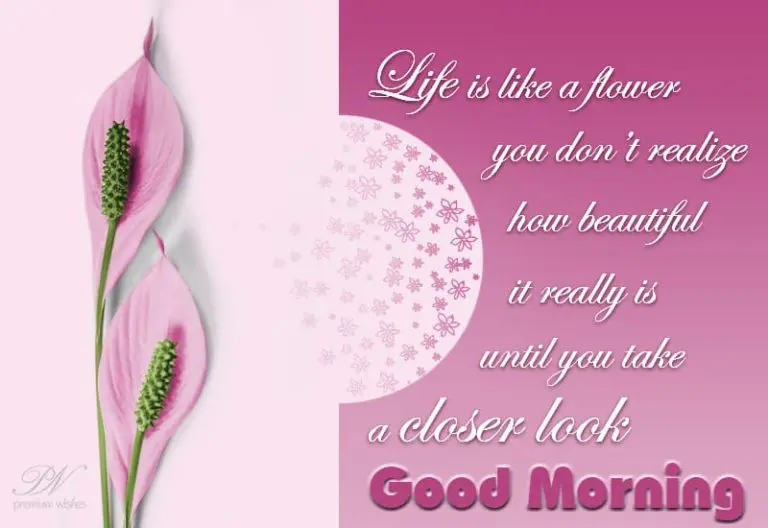 Good Morning Wishes
