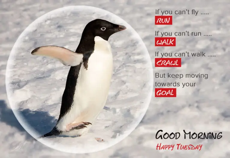 Keep moving towards your goal – Happy Tuesday Keep moving towards your goal – Happy Tuesday