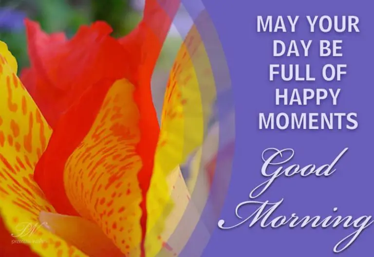 Good morning – Enjoy the colors of nature