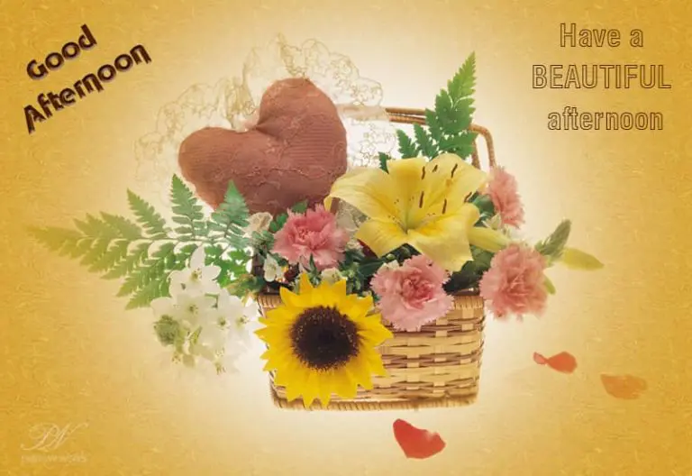 Good Afternoon Wishes