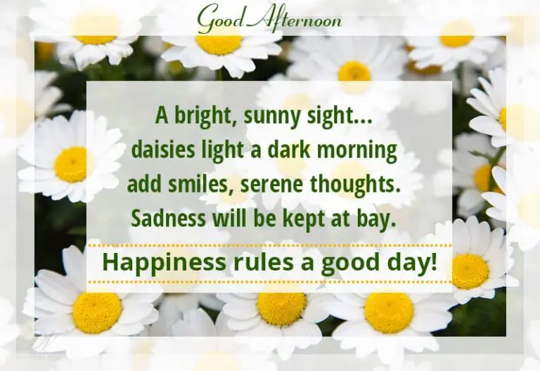 Good Afternoon Wishes