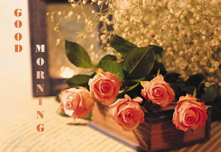 Good Morning – A Bouquet Of Roses