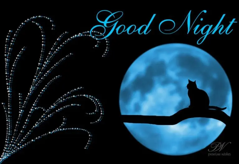 Good Night Wishes