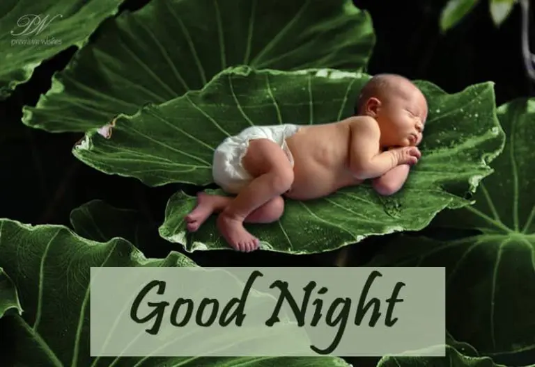 Good Night Wishes