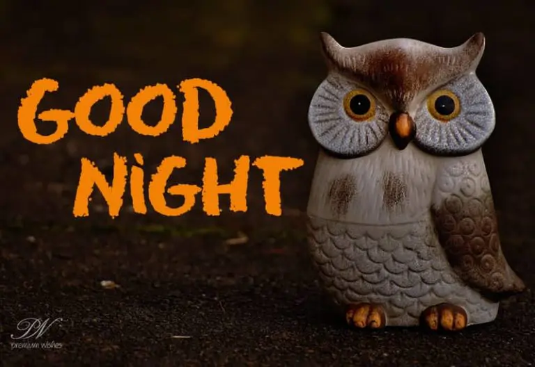 Good Night Wishes