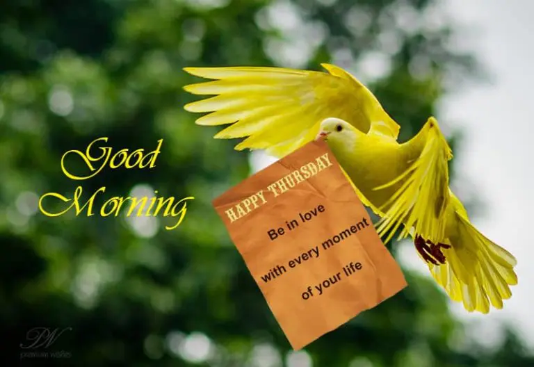 Happy Thursday – Plant the seeds of happiness