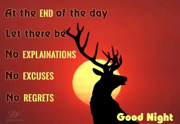Good Night Wishes