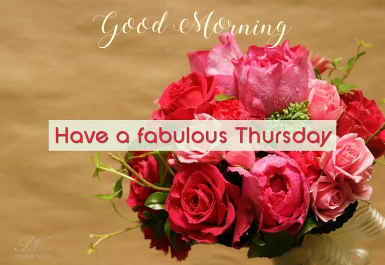 Have a fabulous Thursday