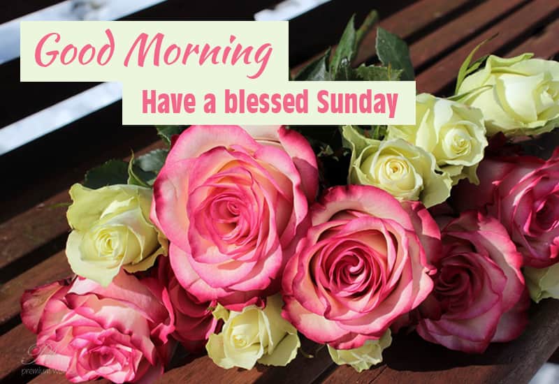 Good Morning Sunday Images For WhatsApp, Facebook