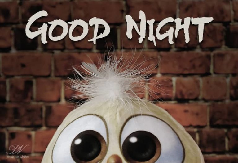 Good Night – Sleep Well – Enjoy your dreams