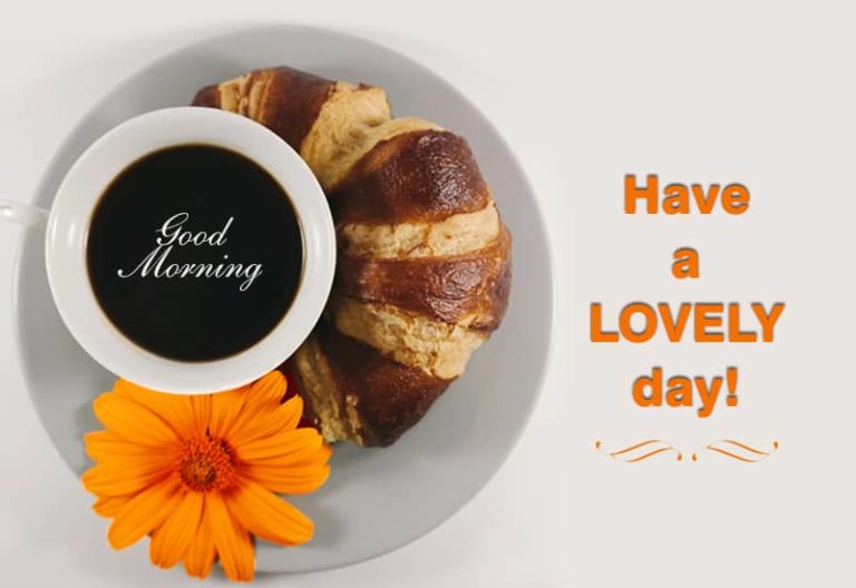 Good Morning – Have a lovely day Good Morning – Have a lovely day