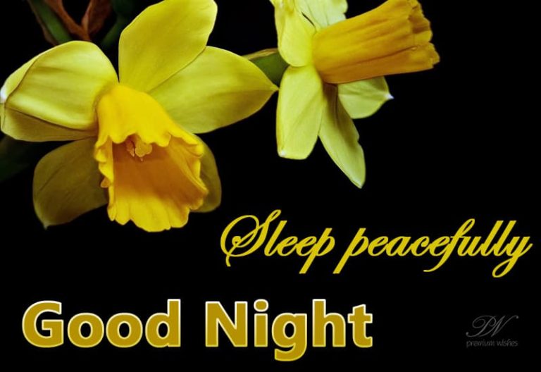 Good Night – Sleep Peacefully Good Night – Sleep Peacefully