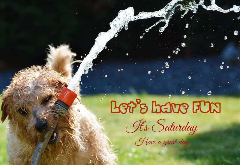 Good Morning Saturday Images and Quotes