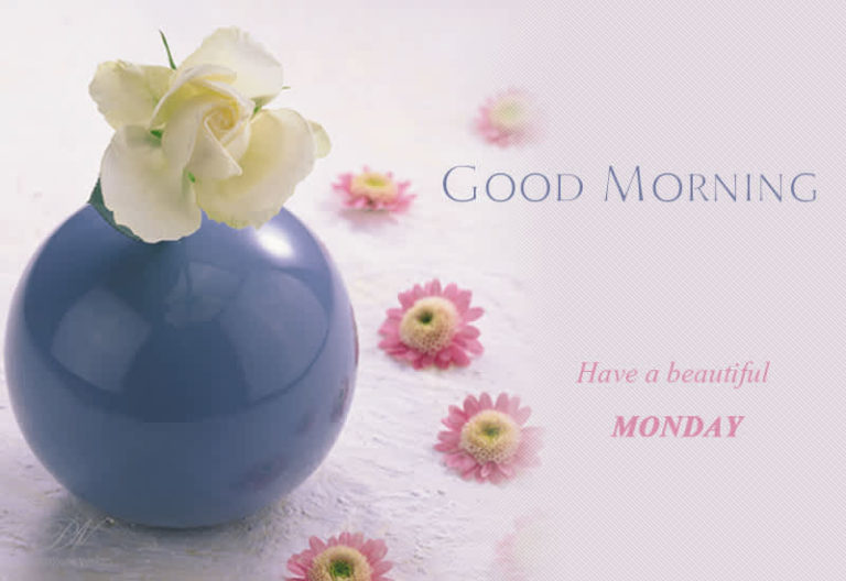 Have a beautiful Monday Have a beautiful Monday