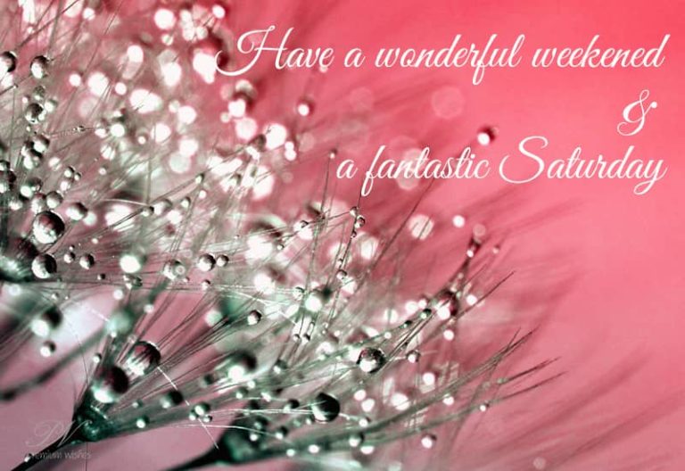 Wonderful weekend and a fantastic Saturday Wonderful weekend and a fantastic Saturday