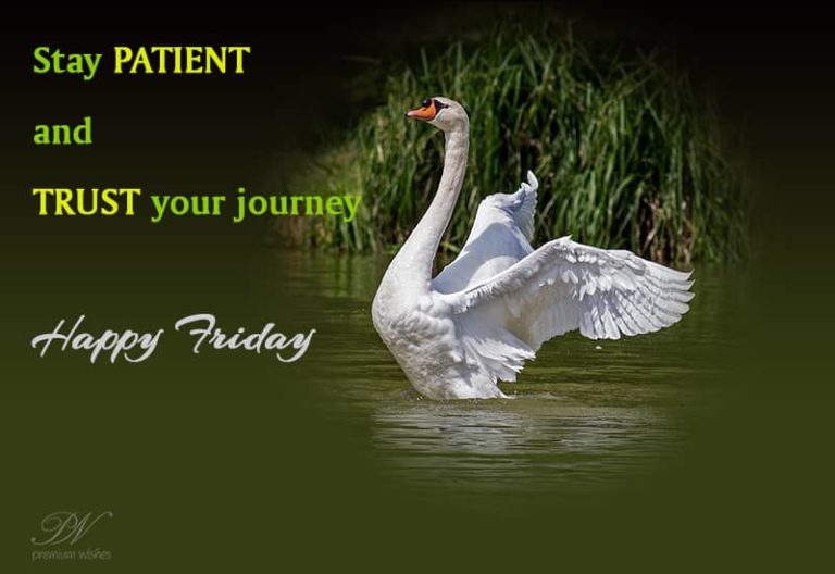 Friday Wish – Stay Patient and Trust Your Journey Friday Wish – Stay Patient and Trust Your Journey