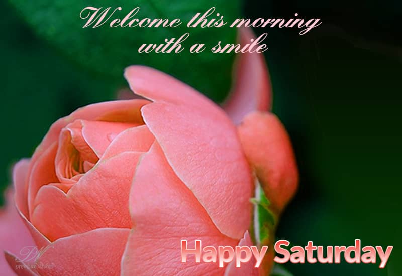 Good Morning Saturday Images and Quotes