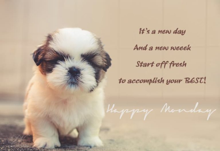 Monday Wish – Start off fresh to accomplish your best Monday Wish – Start off fresh to accomplish your best