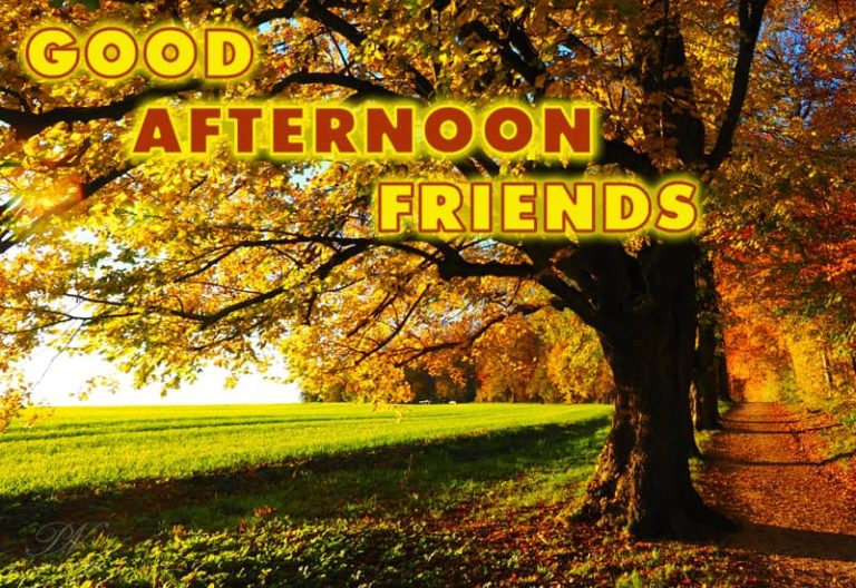 Good Afternoon Wishes