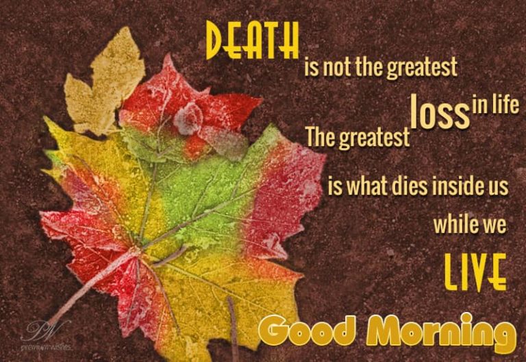 Good Morning Wishes