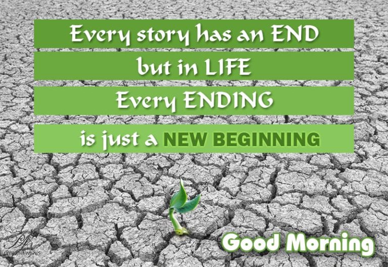 Good Morning Wishes