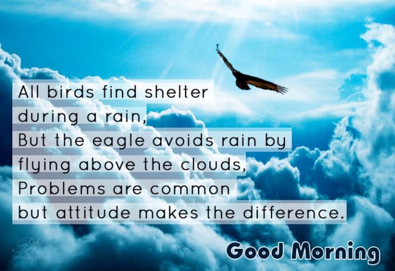 Good Morning Wishes