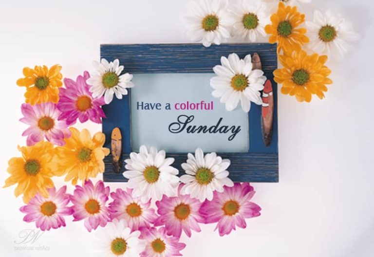 Have a colourful Sunday Have a colourful Sunday