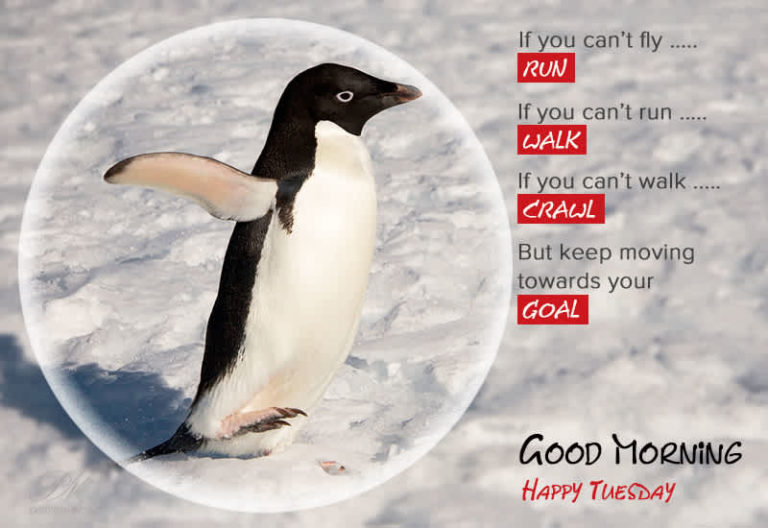 Keep moving towards your goal – Happy Tuesday Keep moving towards your goal – Happy Tuesday