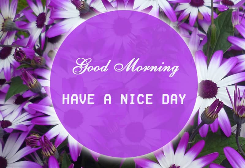 Good morning wishes with flowers