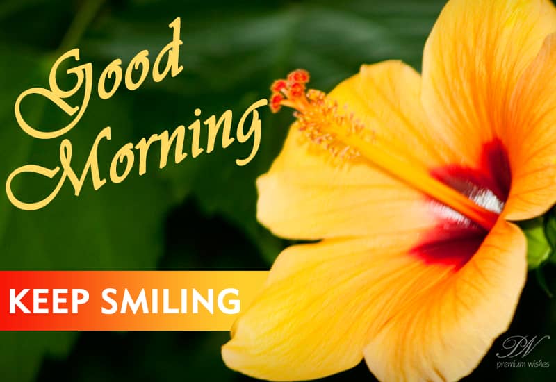 Good morning wishes with flowers